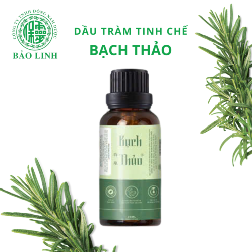 Dầu Tràm Tinh Chế Bạch Thảo
