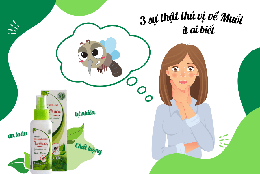 Top 3 sự thật thú vị về muỗi và tips đuỗi muỗi an toàn