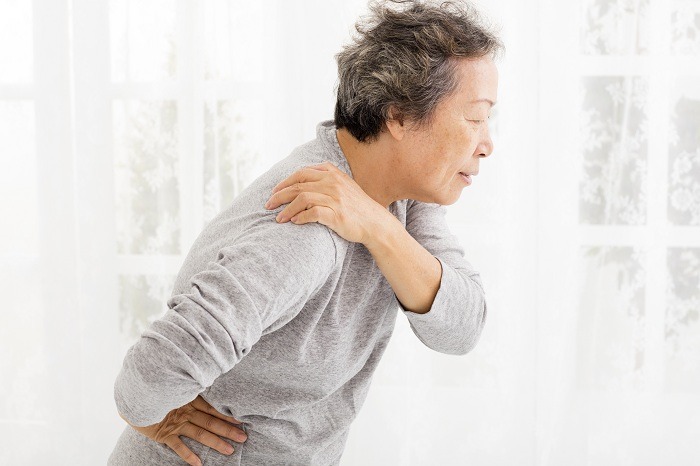 Các thành phần có trong cao xoa bóp Bạch Hổ Hoạt Lạc Cao