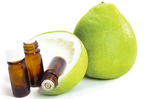 làm bình xịt đuổi côn trùng từ bưởi