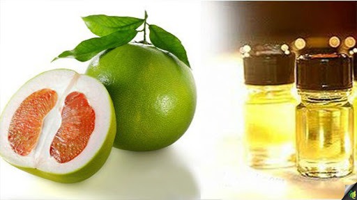 tinh dầu bưởi đuổi muỗi