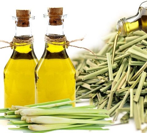 tinh dầu sả đuổi muỗi
