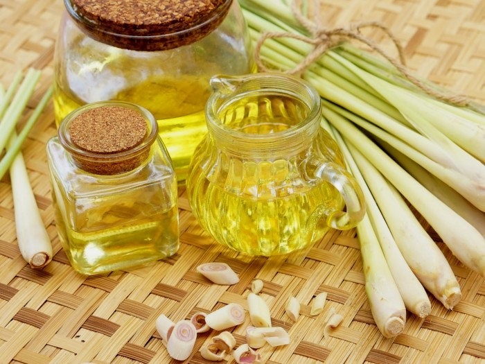 Tinh dầu sả xịt muỗi có thoa được lên da