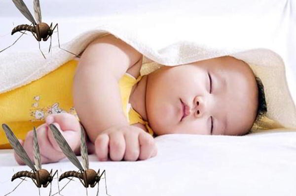 các loại xịt đuổi muỗi thảo dược đều rất an toàn cho trẻ nhỏ